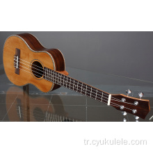 Yaylı enstrümanlar küçük 34 inç ukulele seyahat eder